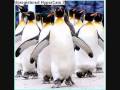 videos de Annoy But Funny Sound: Abo Penguin