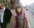 Gatesy the Gorilla