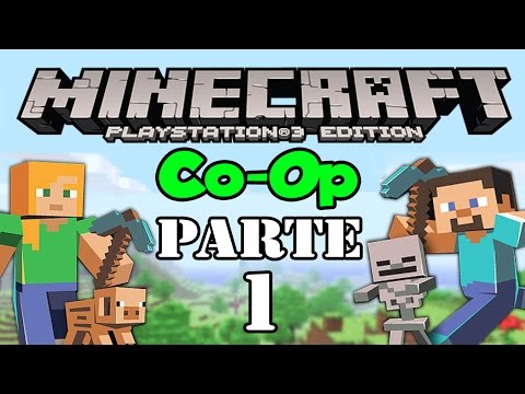 how to co op minecraft