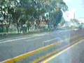 AUTOBUSES
