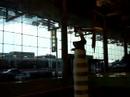 Is it Art? Singapore Terminal 3