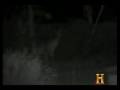 UFO from History Channel