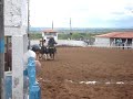 vaquejada