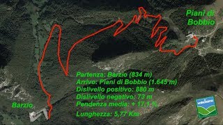 Da Barzio ai Piani di Bobbio (strada Agro Silvo Pastorale)