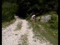 videos de Bici FLYER sul Monte Baldo