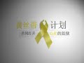 Yellow Ribbon Chinese Wordplay