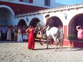 caballito bailando flamenko parte 2 