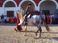 caballito bailando flamenko parte 2 