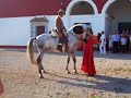 caballito bailando flamenko parte 2 