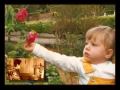Rosas de Sarom - Afonso Estebanez
