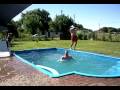 Jumping in the pool Jumping in the pool