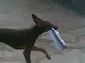 Video000 Video000