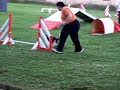 Baya en agility
