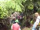 Roots & shoots youth leadership immersion experience 2006