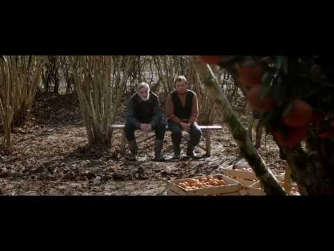 how to harvest tangerines