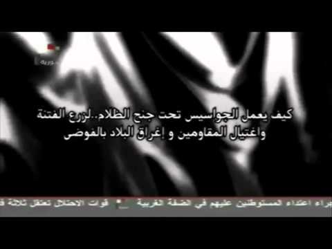 زب اسرائيلى