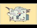RISO NewInkjet Cartoon