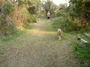 Walking The Babies