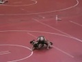 Alex Wrestling 1-5-08 (L) Alex Wrestling 1-5-08 (L)