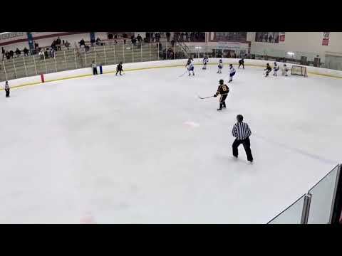 Blaine, MN Buffalo v Barons 15U AAA