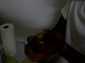 videos de Mono eats for money