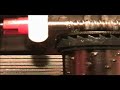 Organ Organ