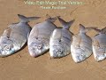 surf casting surf casting
