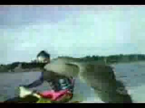 Funny Watersports
