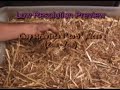 Straw Pasteurization