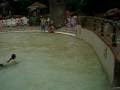 videos de center parcs lac des ailettes