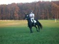 Junes first novice fence.