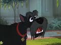 A Story of Dogs - Part 2 A Story of Dogs - Part 2