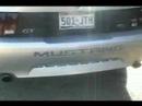 Supercharged Mustang GT Cams