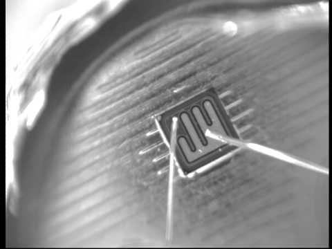 2N3055 - Ein 2N3055 Transistor wurde aufgeschnitten und die beiden Dioden in Durchlass- und Sperrrichtung mit einer Konstantstromquelle betrieben. Das dabei entstehen...