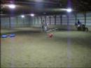 Magic and I attempting to jump barrels