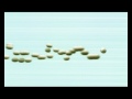 Animation - Veerhuis Bouwsystemen intro