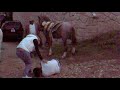 El puto putazo de chava y su puto primo