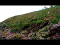 Lighthouse at Ferryland Newfoundland Canada