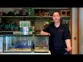 Pet Rodents : How to Make Homemade Hamster Treats