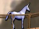 Charlie the unicorn
