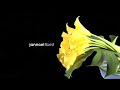Albury Wodonga Billboard - Jannoel Florist