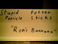 Stupid Potter Popsicle Sticks