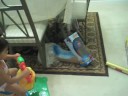 laila and her pony