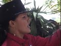 La Corocora del Llano La Corocora del Llano
