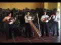 La Corocora del Llano