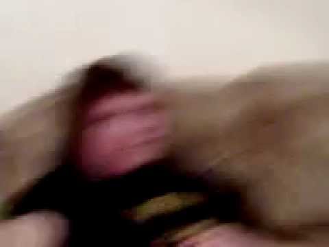 Fat Joel