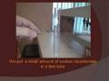CIDEB lab report2 video 103 Physical and chemical properties
