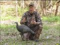 Turkey Decoys 101 