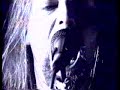 Desultory \"Winter\"