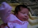 Alexxis Birth Alexxis Birth